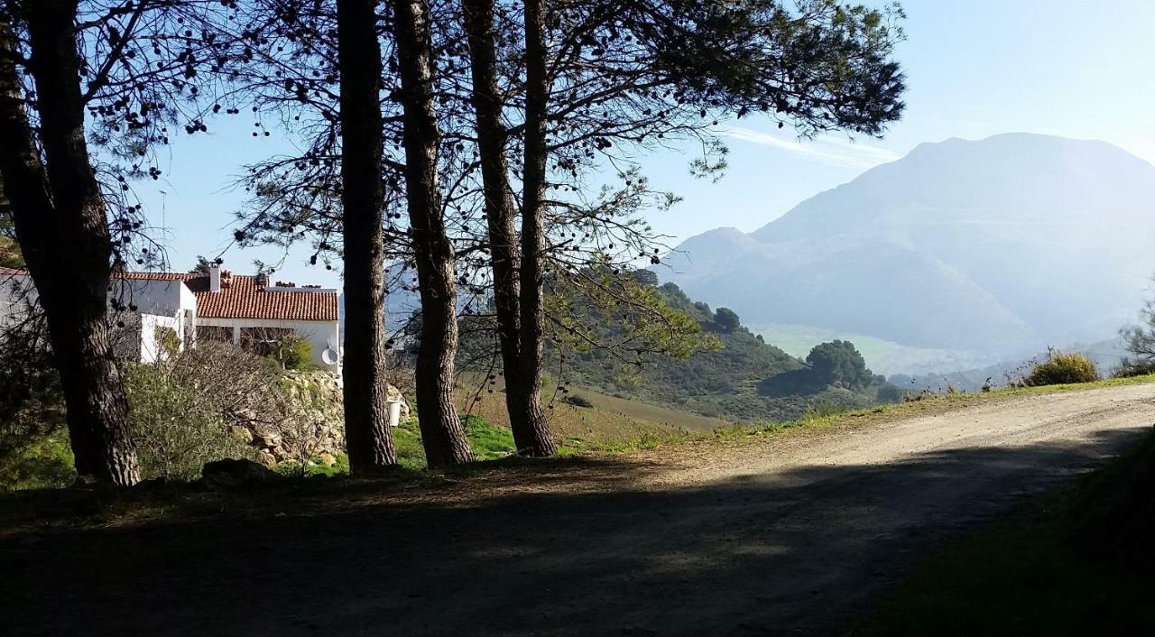 Finca Las Morenas Yunquera Exteriér fotografie